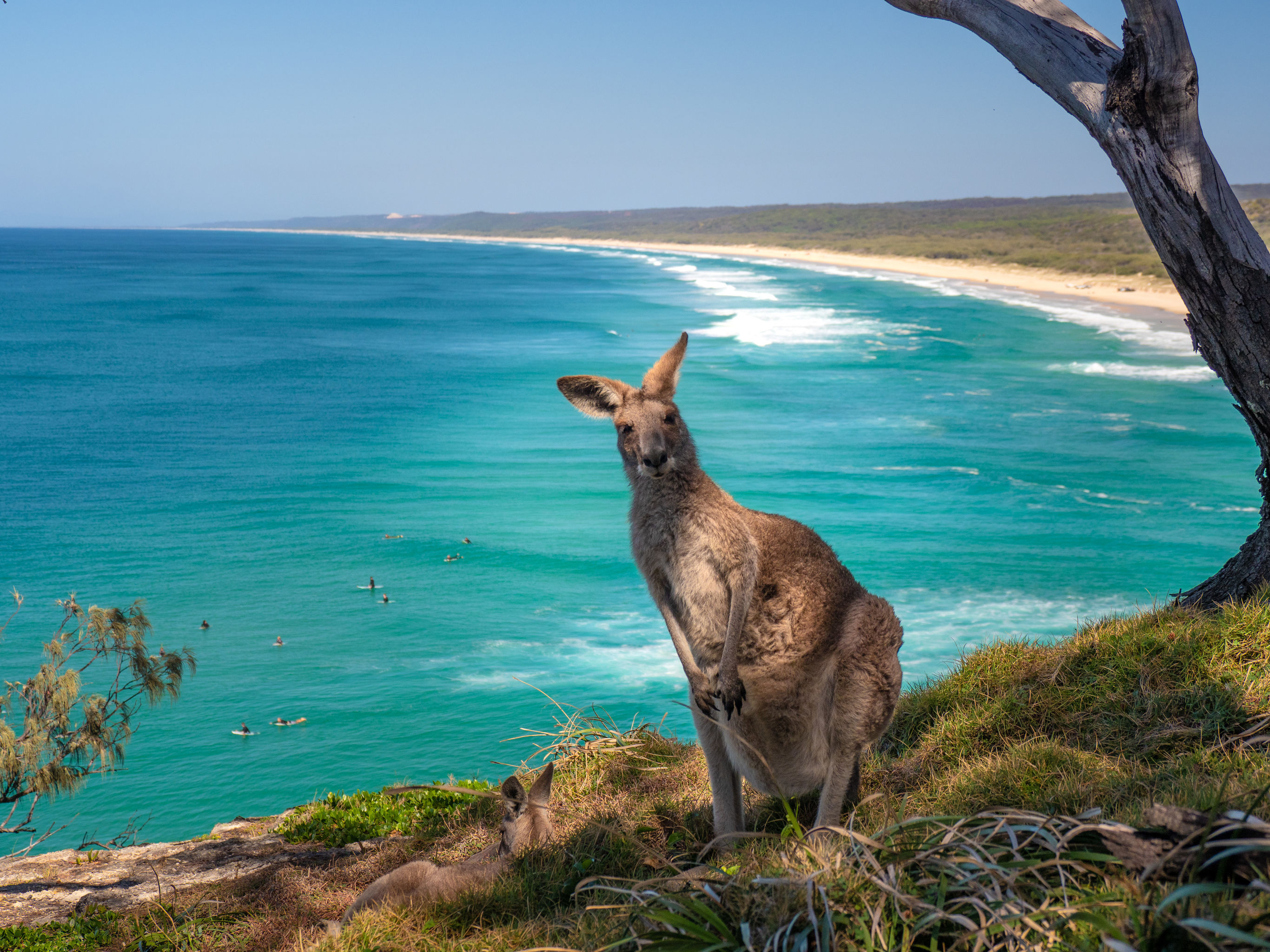 Kangaroo Island Adventure